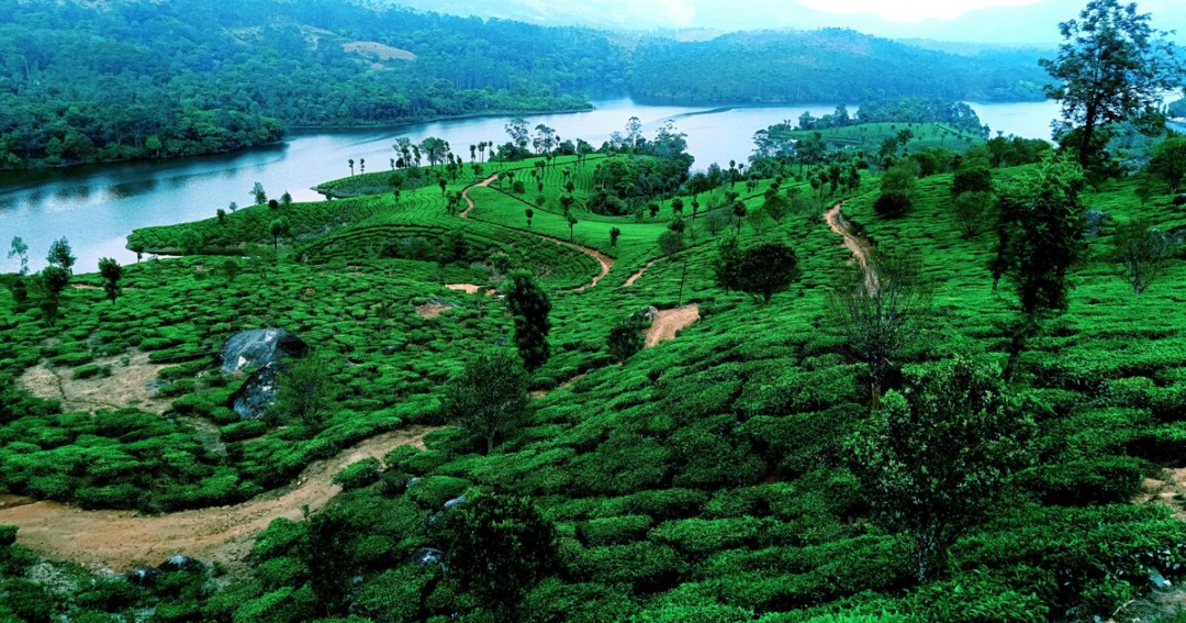 Kerala Tourist Atractions