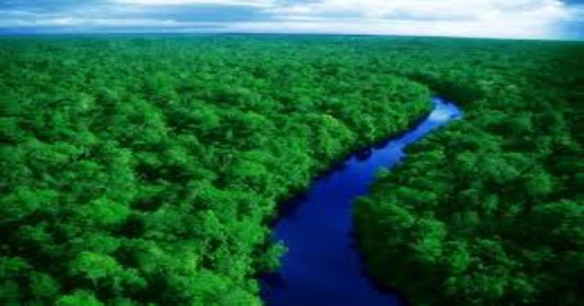 the most biodiverse country in the world