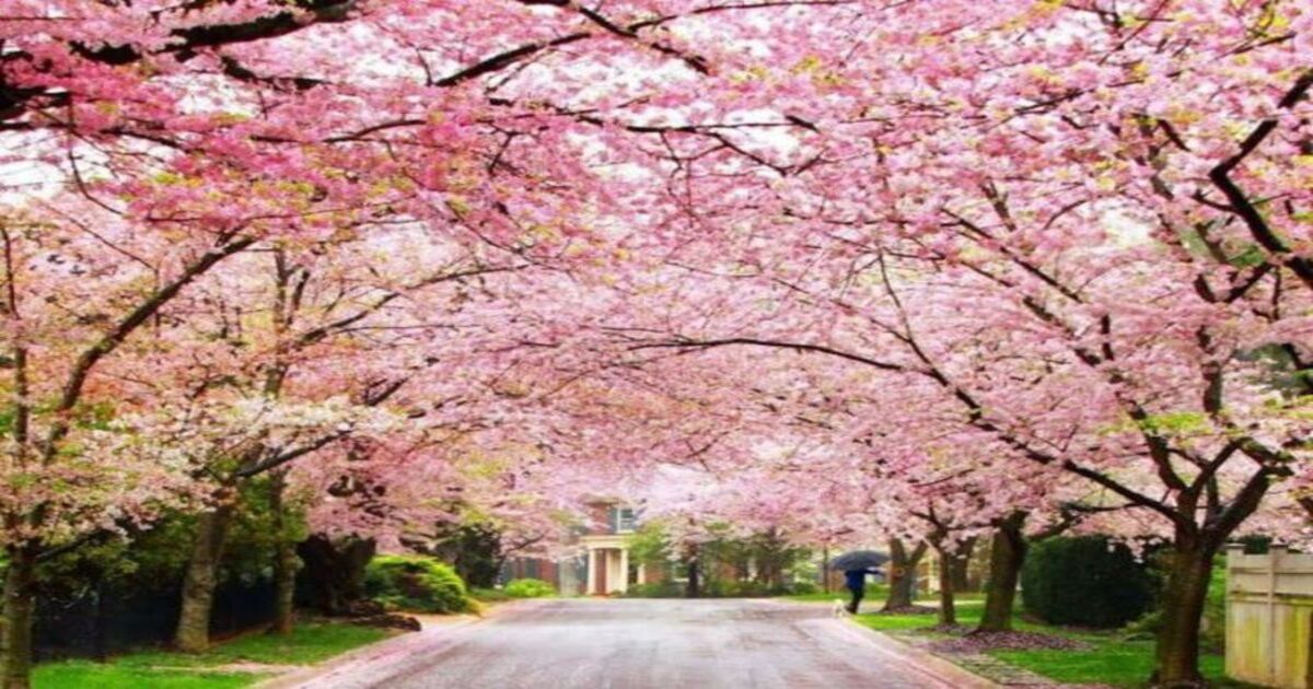 Places to Visit in Shillong