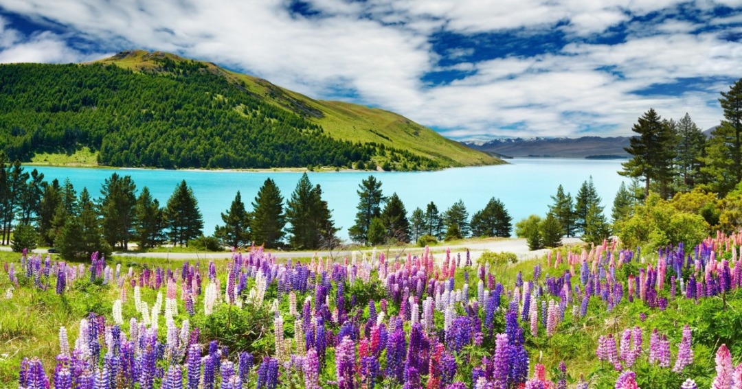 Best Spring Destinations in India